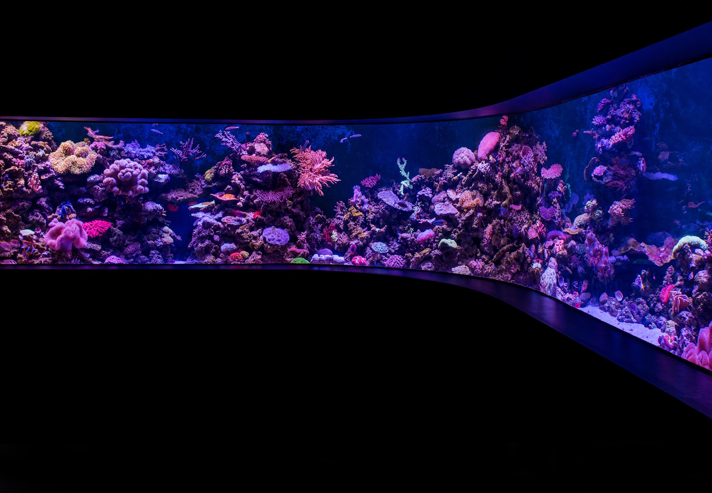 Flourish Excel: ¿añade CO2 a tu acuario?