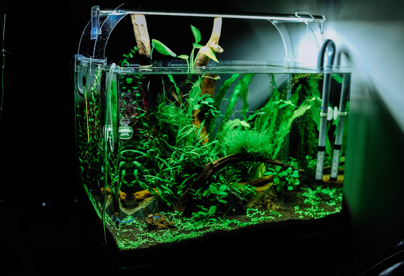 Pantalla LED Chihiros WRGB II
