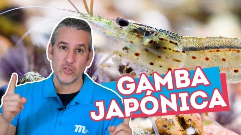 Gambas Caridinas japónicas. Informe Completo | Acuarofilia.es