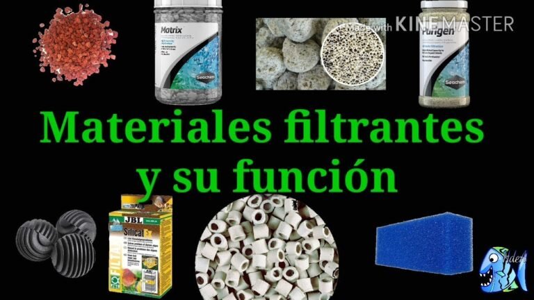 Materiales Filtrantes para filtros para Acuarios