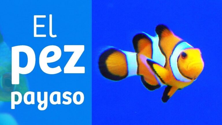 El Pez Payaso, el famoso Nemo