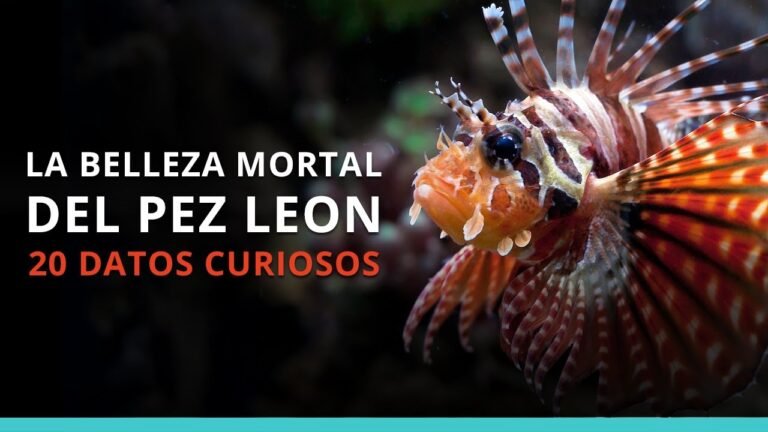 El Pez León en los ecosistemas marinos