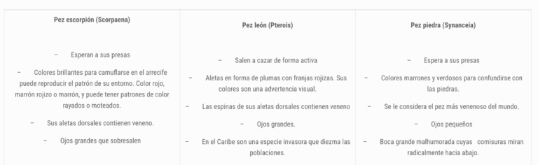 Los 10 Datos Más Curiosos sobre el Pez Escorpión